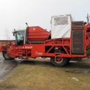 4290 DEWULF RQ3060 potato harvester