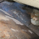 4326 EMVE potato washing machine 3 m 