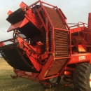 4360 Dewulf RDT 952 2 row potato harvester with bunker