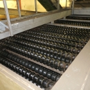4749 WYMA rollergrader / lift roller sizer for potato / onion