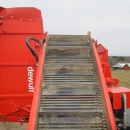 4774 Dewulf GBC carrot harvester 1 row with 3 ton bunker