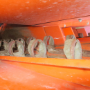 5365 Underhaug Potato planter 2 row