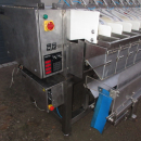 5727 Newtec 2009G linear weigher for carrots and potato