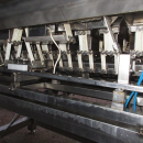 5727 Newtec 2009G linear weigher for carrots and potato