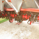 6155 Grimme cultivator GF 80-4