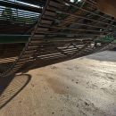 6202 Ploeger potato harvester 4 row with elevator