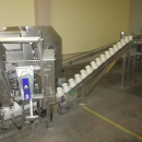 3538 Crea-Tech packaging line for small bags