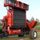 3970 DEWULF GBC carrot harvester with bunker