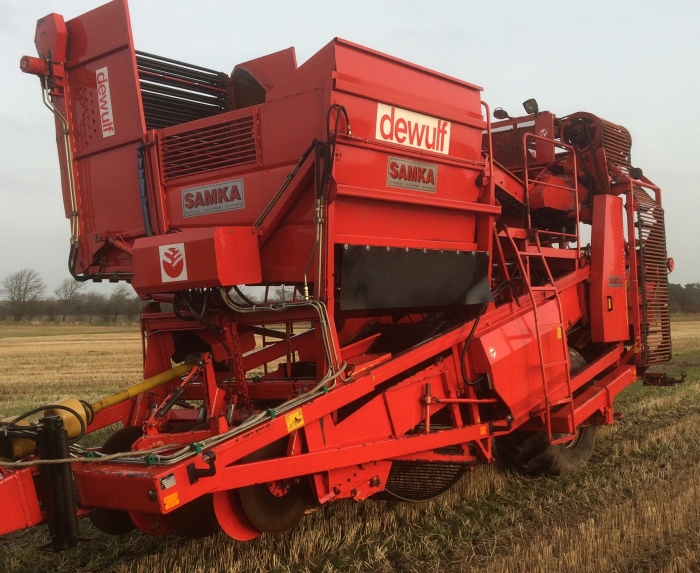 4360 Dewulf RDT 952 2 row potato harvester with bunker