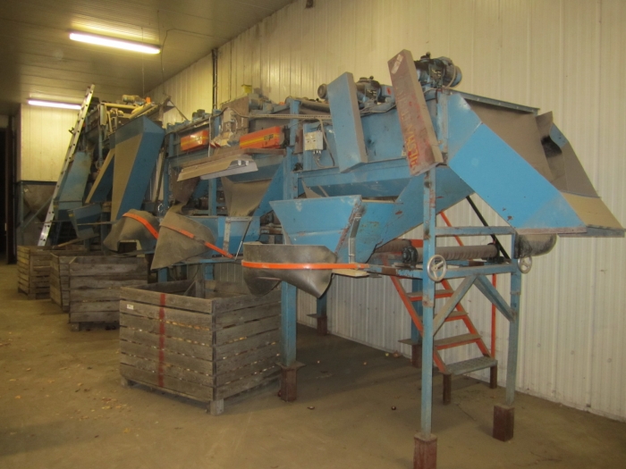 3286 EMVE potato screen grading sorting line