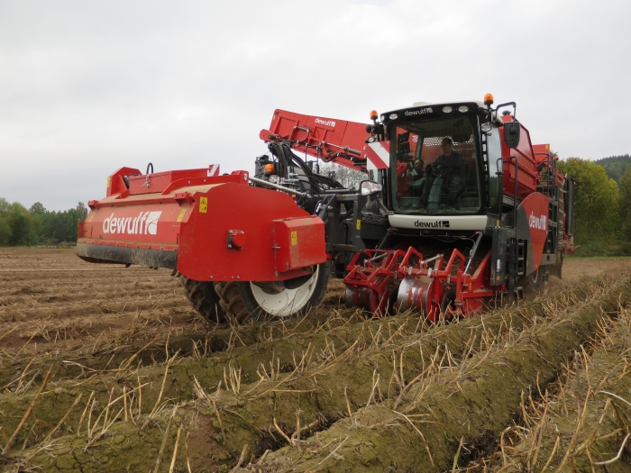4702 Dewulf RQA3060 potato harvester selfpropelled