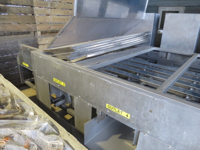 4982 Newtec Celox XT optical sorter for carrots