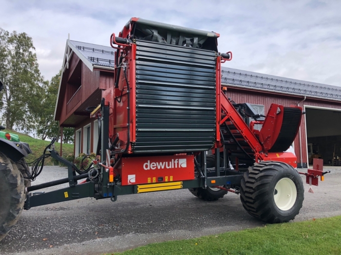 5077 Dewulf GBC carrot harvester with bunker