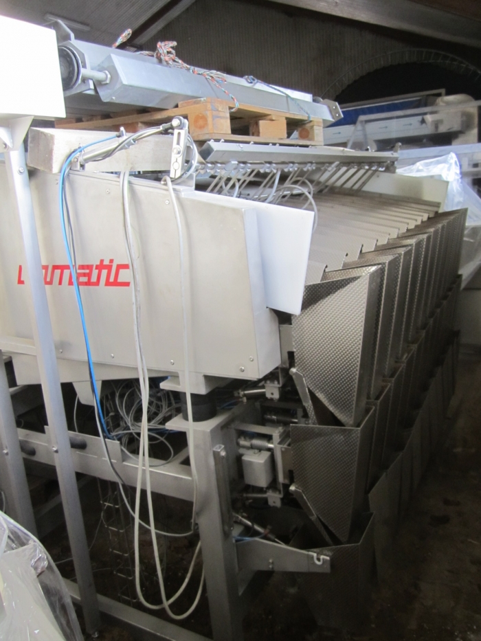 3381 Upmann weigher and tray packing line