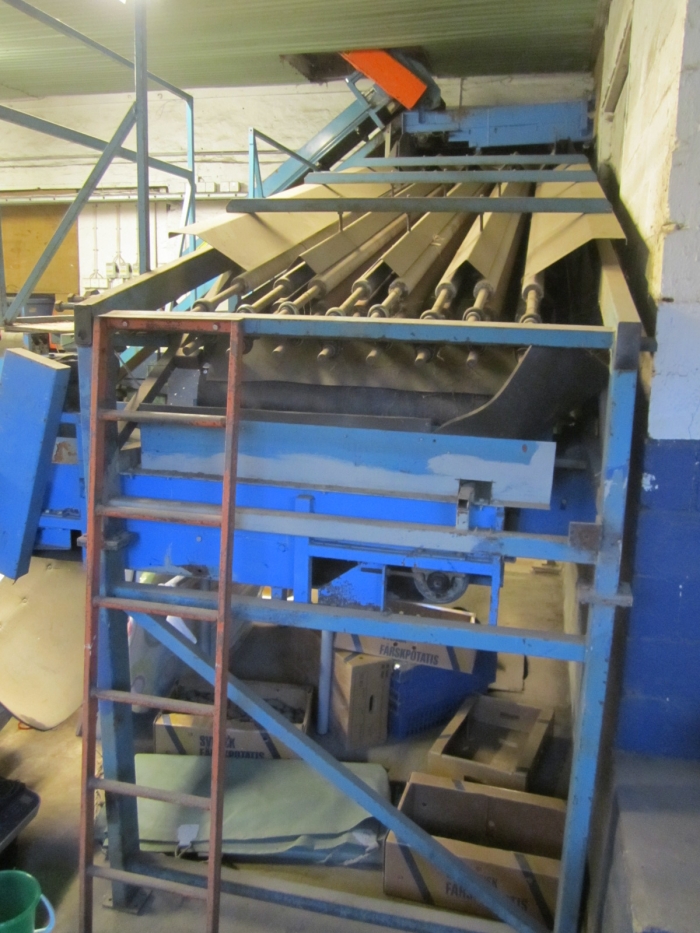 3394 EMVE carrot grading and inspection line