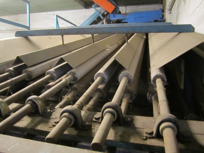 3394 EMVE carrot grading and inspection line