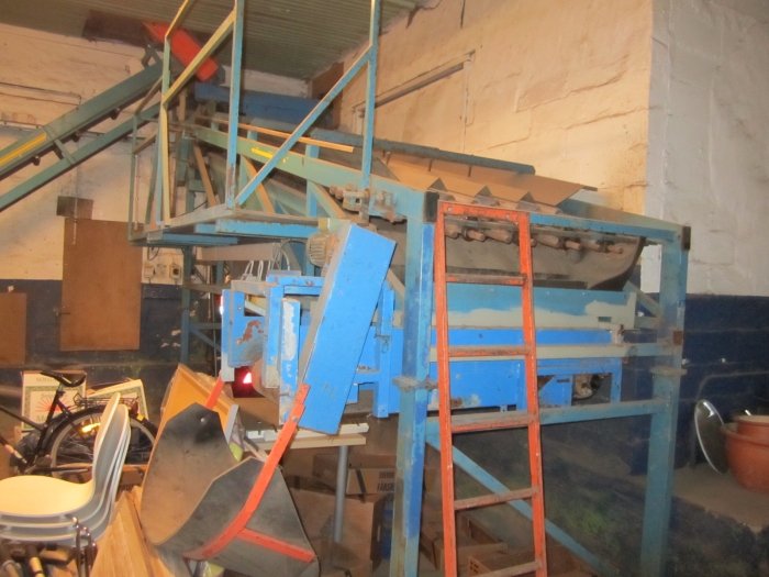 3394 EMVE carrot grading and inspection line