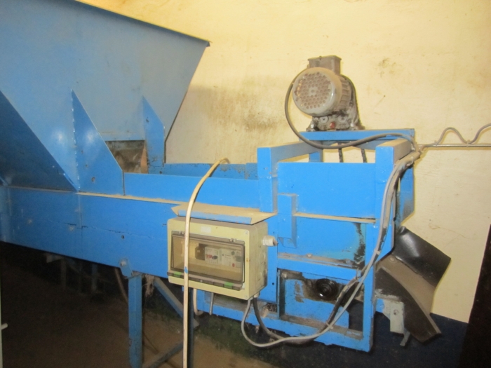 3394 EMVE carrot grading and inspection line
