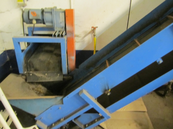 3394 EMVE carrot grading and inspection line