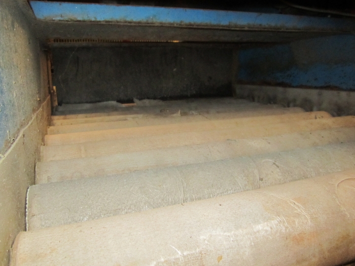 3394 EMVE carrot grading and inspection line
