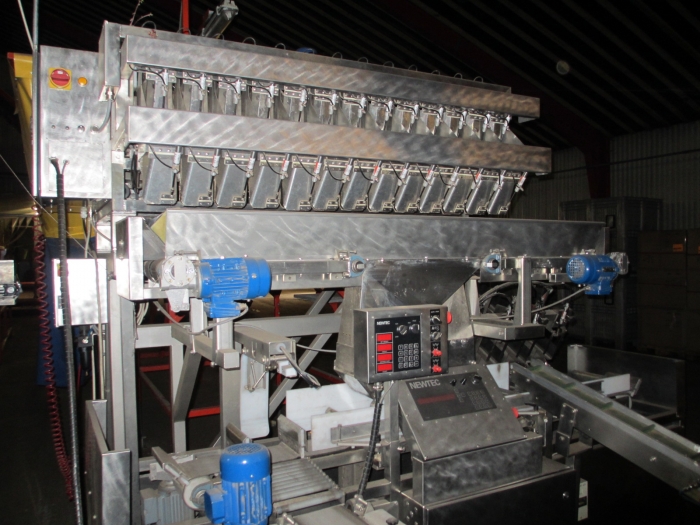 3732 Newtec 3013MD multi head weigher and packaging line för trays