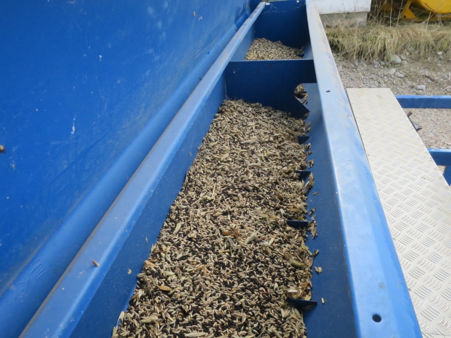 4328 Fiona row fertilizer