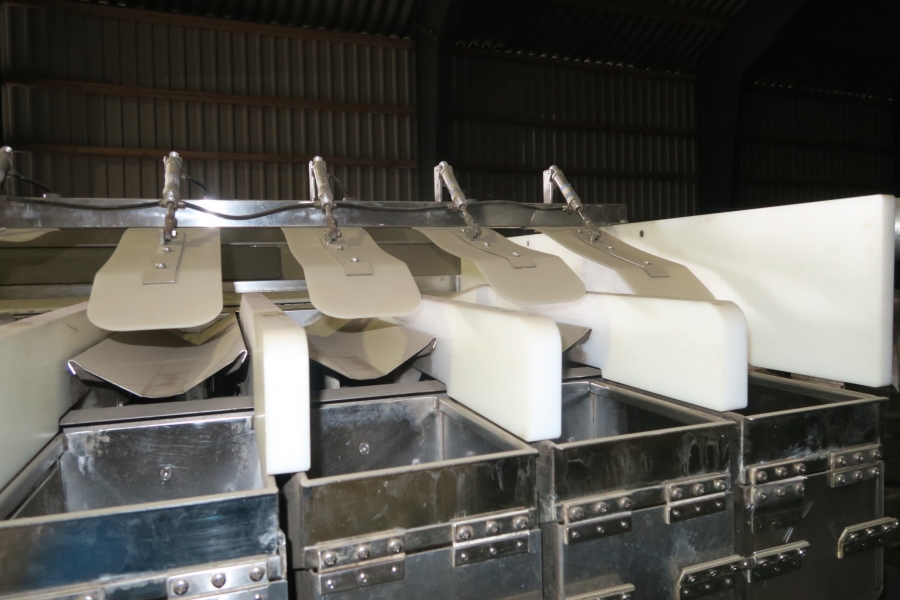 4701 Newtec 2009XB with Udo Schliebe net bagging line