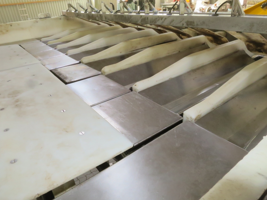 5211 Newtec 2009XB weigher for potato, onion etc