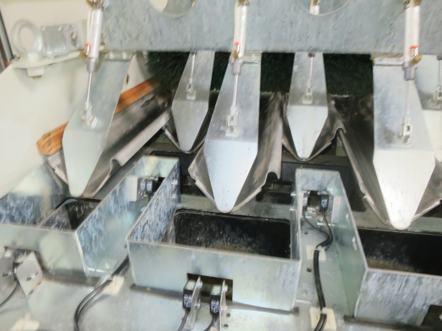 5256 Sorma P10 126 linear weigher 10 buckets