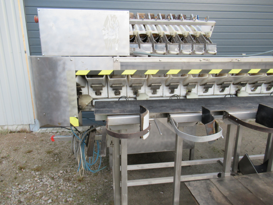 5289 Newtec bagger and weiger for BAKED POTATOES