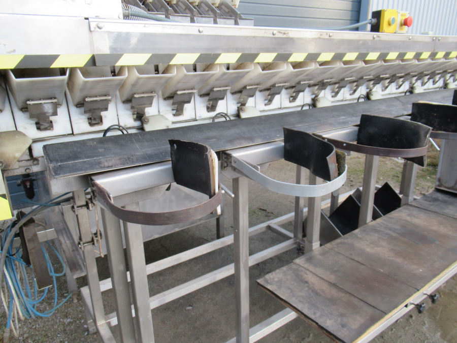 5289 Newtec bagger and weiger for BAKED POTATOES