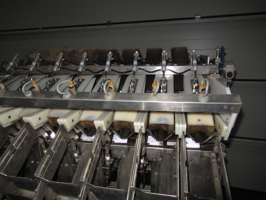 5289 Newtec bagger and weiger for BAKED POTATOES