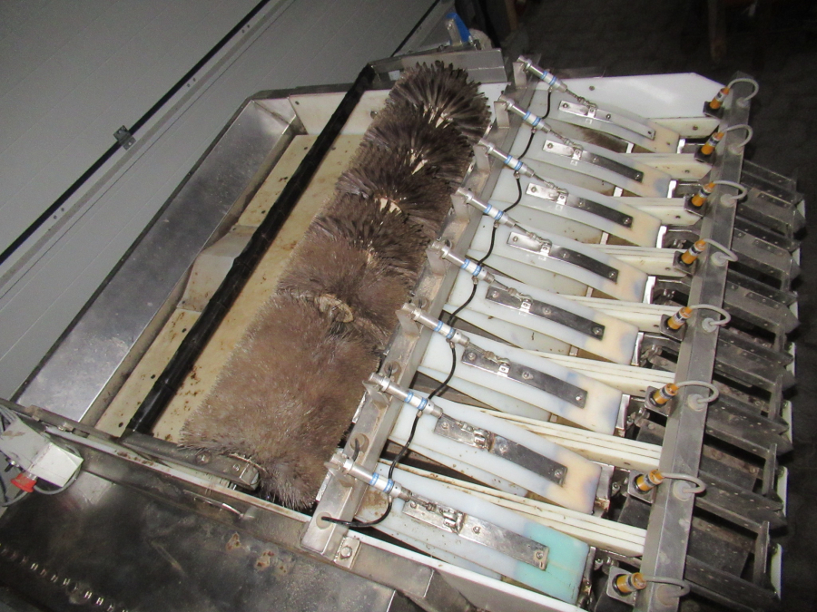 5289 Newtec bagger and weiger for BAKED POTATOES