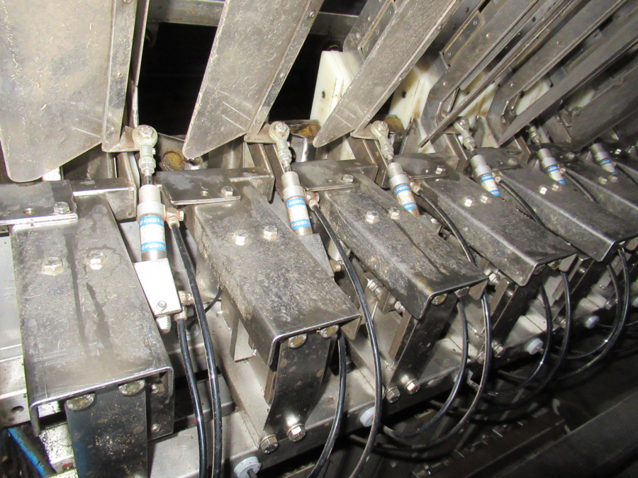 5289 Newtec bagger and weiger for BAKED POTATOES