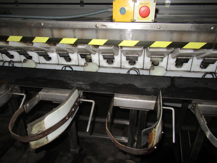 5289 Newtec bagger and weiger for BAKED POTATOES