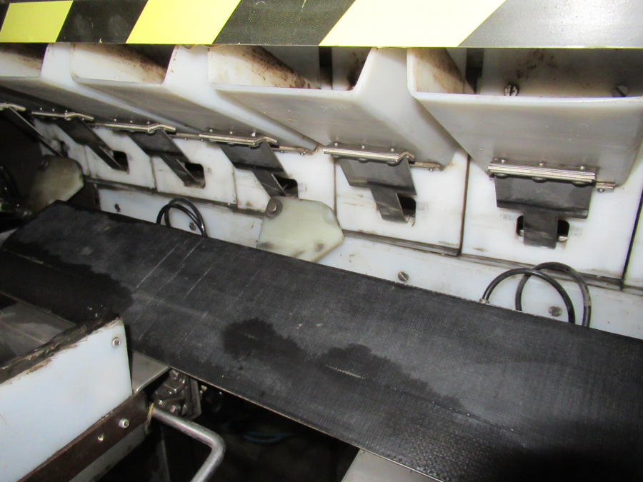 5289 Newtec bagger and weiger for BAKED POTATOES