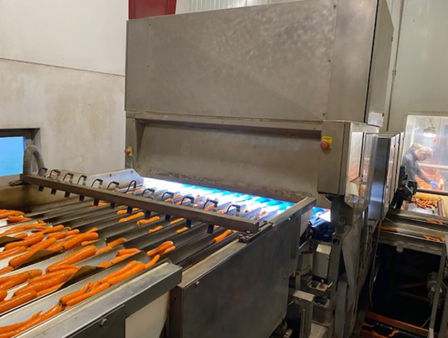 5443 Newtec Celox for carrots