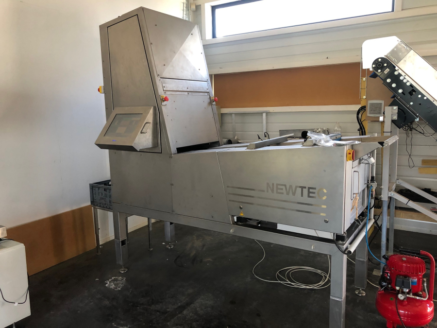 5845 Newtec Celox potato optical sorter