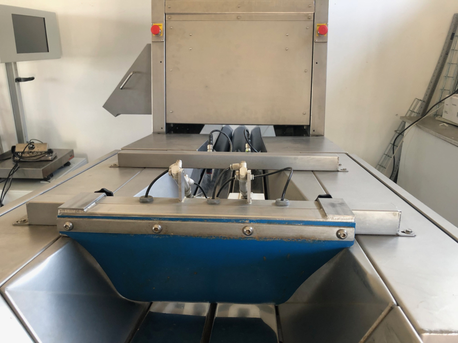 5845 Newtec Celox potato optical sorter