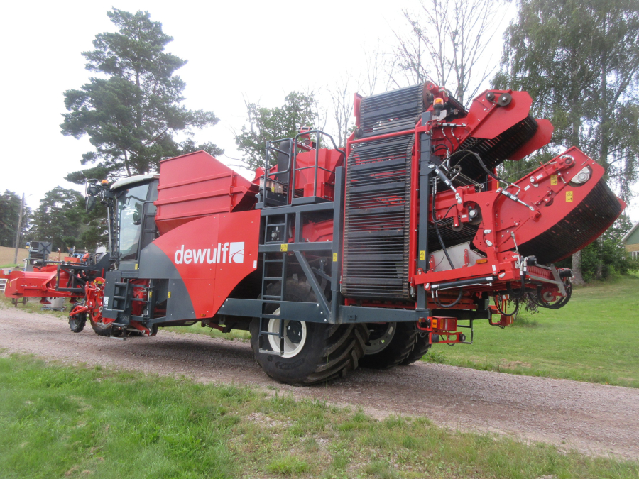 6036 Dewulf RA3060 Kartoffelroder DEMO