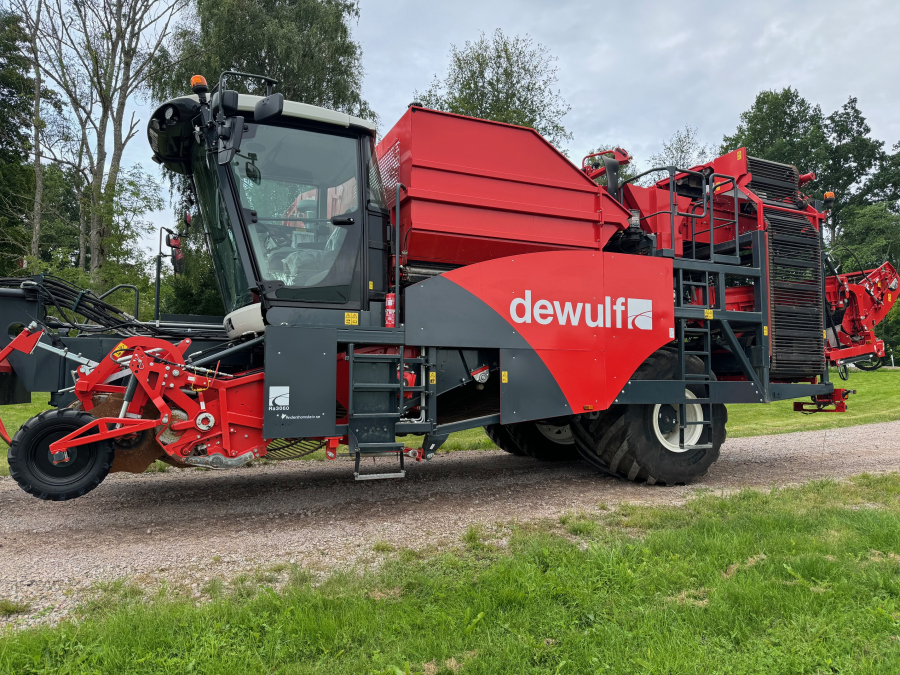 6036 Dewulf RA3060 Kartoffelroder DEMO