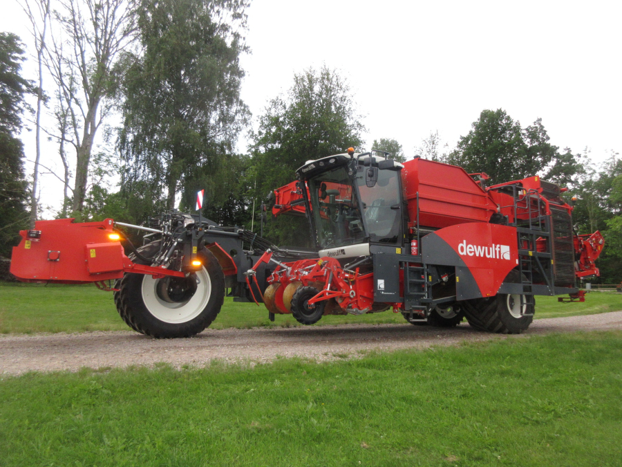 6036 Dewulf RA3060 Kartoffelroder DEMO