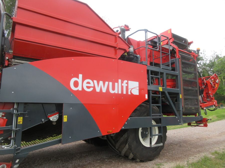 6036 Dewulf RA3060 Kartoffelroder DEMO