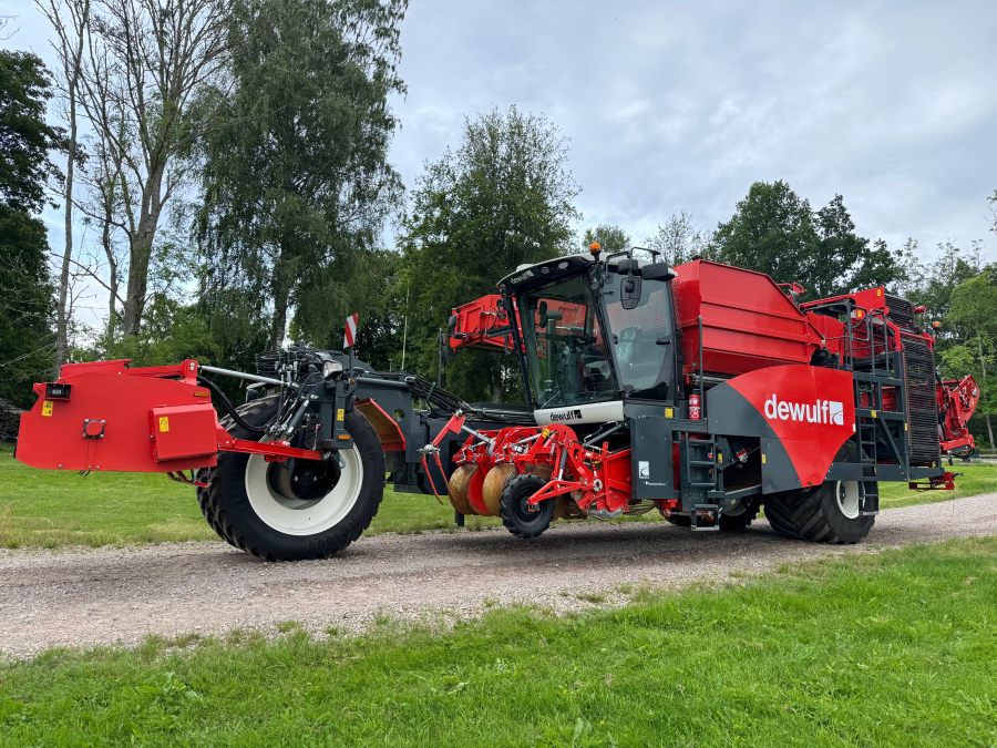 6036 Dewulf RA3060 Kartoffelroder DEMO