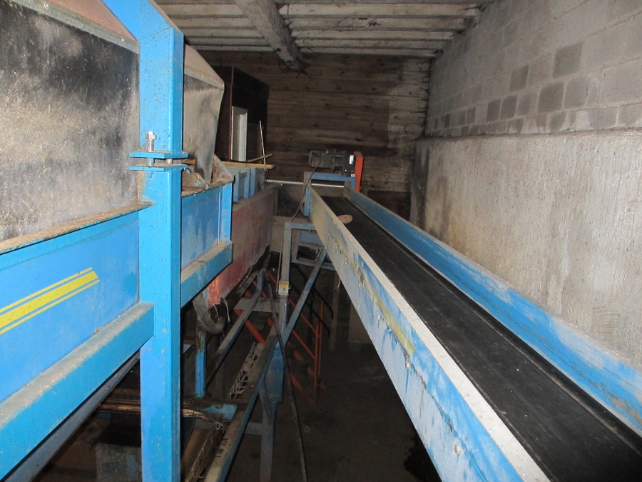 3659 EMVE potato grading line 