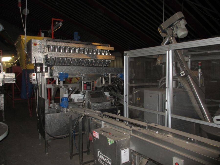 3732 Newtec 3013MD multi head weigher and packaging line för trays