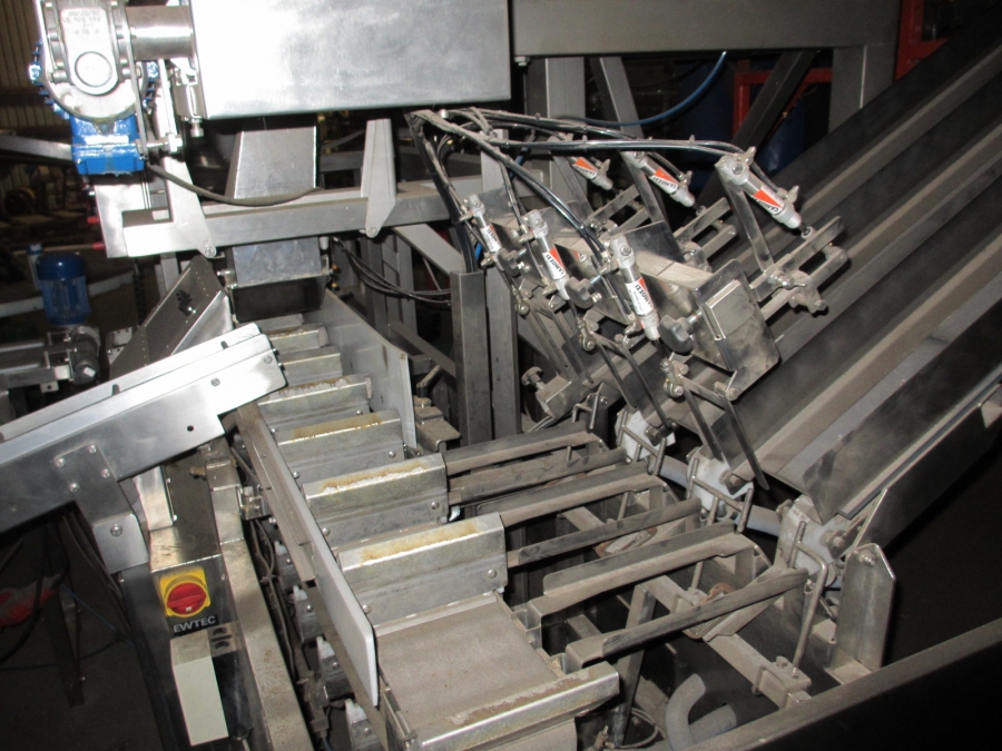 3732 Newtec 3013MD multi head weigher and packaging line för trays