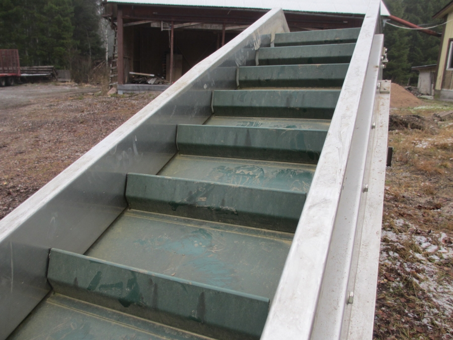 3807 Newtec feeding conveyor to weigher