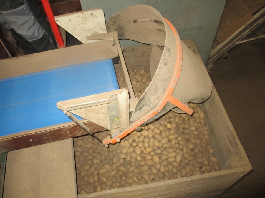 3847 Compas potato grading complete line