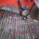 4170 Grimme SL800 potato harvester